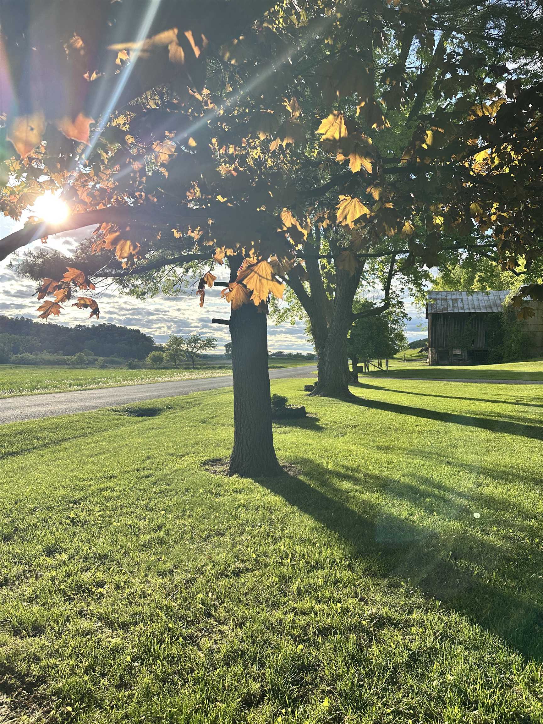 N2224 Wafle Road Mauston, WI 53948 - Photo 8 of 82