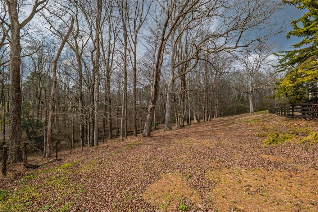 250 Frank Bruce Road Dawsonville, GA 30534 - Photo 108 of 110