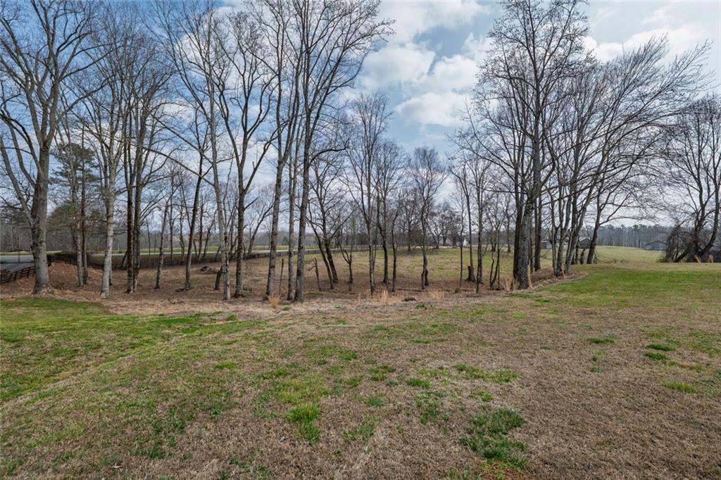 250 Frank Bruce Road Dawsonville, GA 30534 - Photo 95 of 110