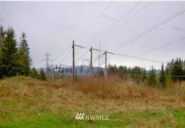 L8 Old Pipeline Road Monroe, WA 98272 - Photo 1 of 1 Gallery Image 1