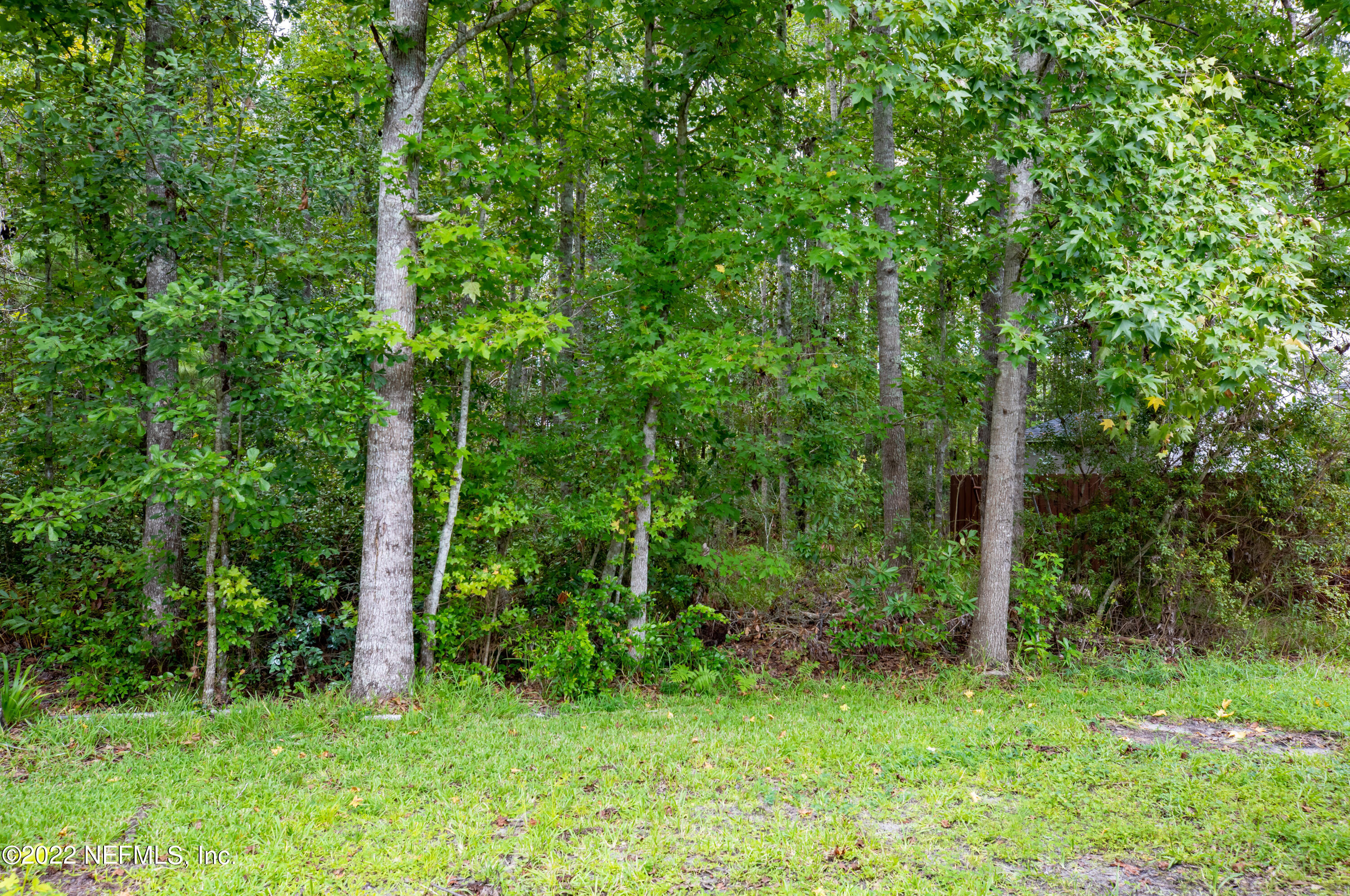 2067 North Cranbrook Avenue St. Augustine, FL 32092 - Photo 15 of 26 a view of a lush green forest