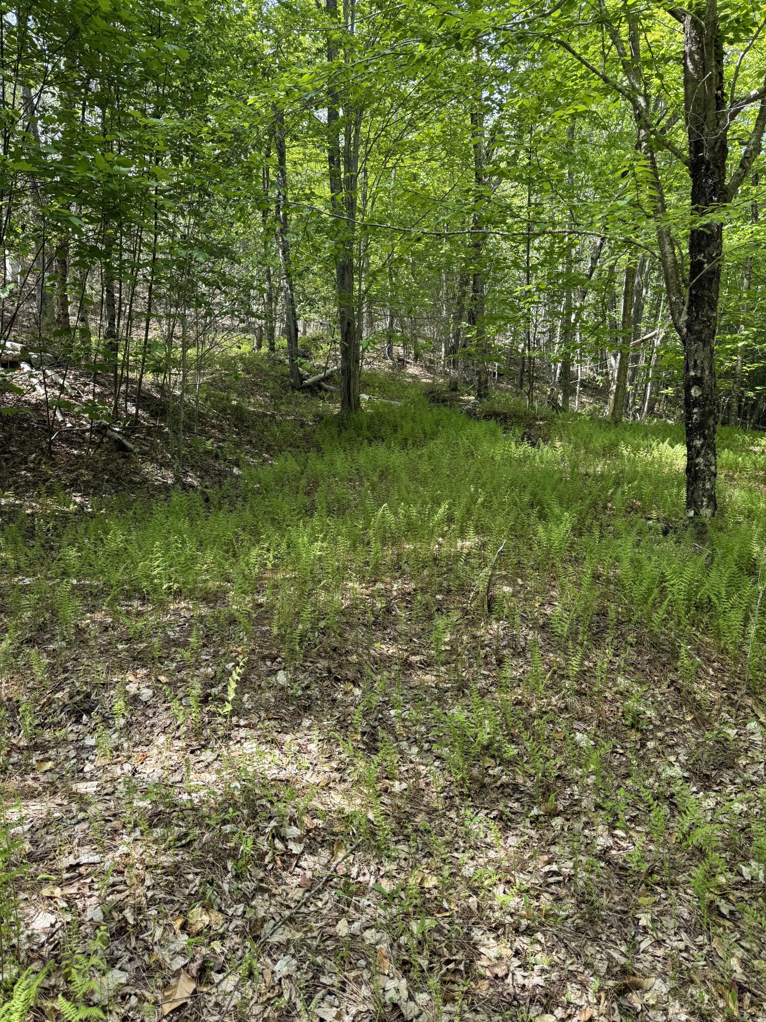 63 Sebasco Road Phippsburg, ME 04562 - Photo 8 of 14 IMG_2519 3