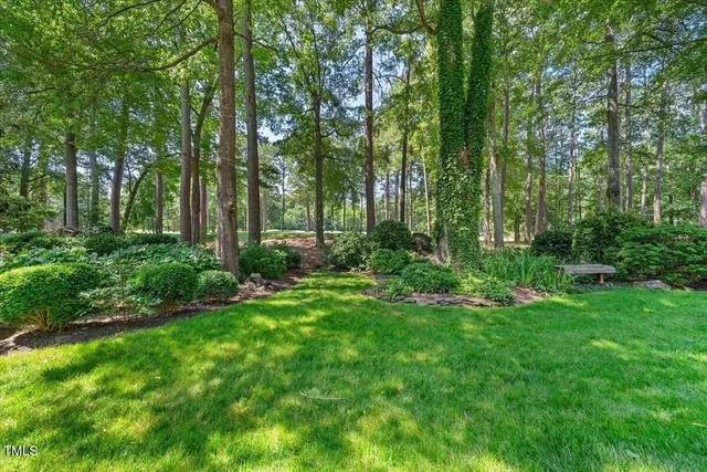 a view of a backyard with large trees