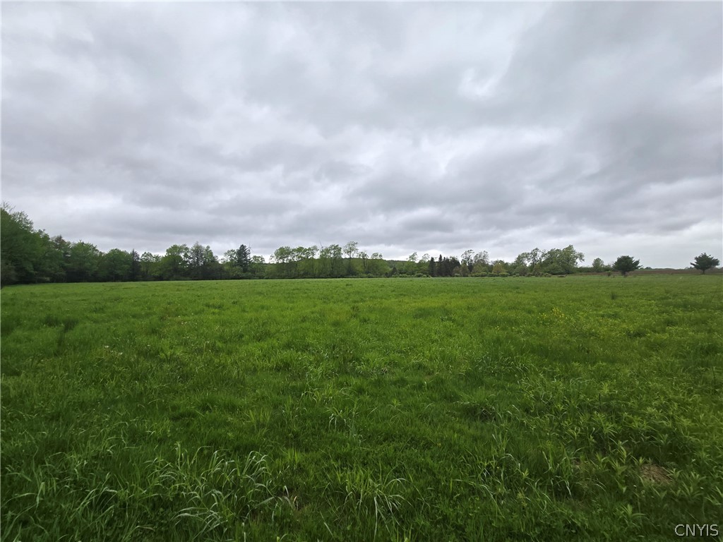Hermitage Road Warsaw, NY 14569 - Photo 19 of 39