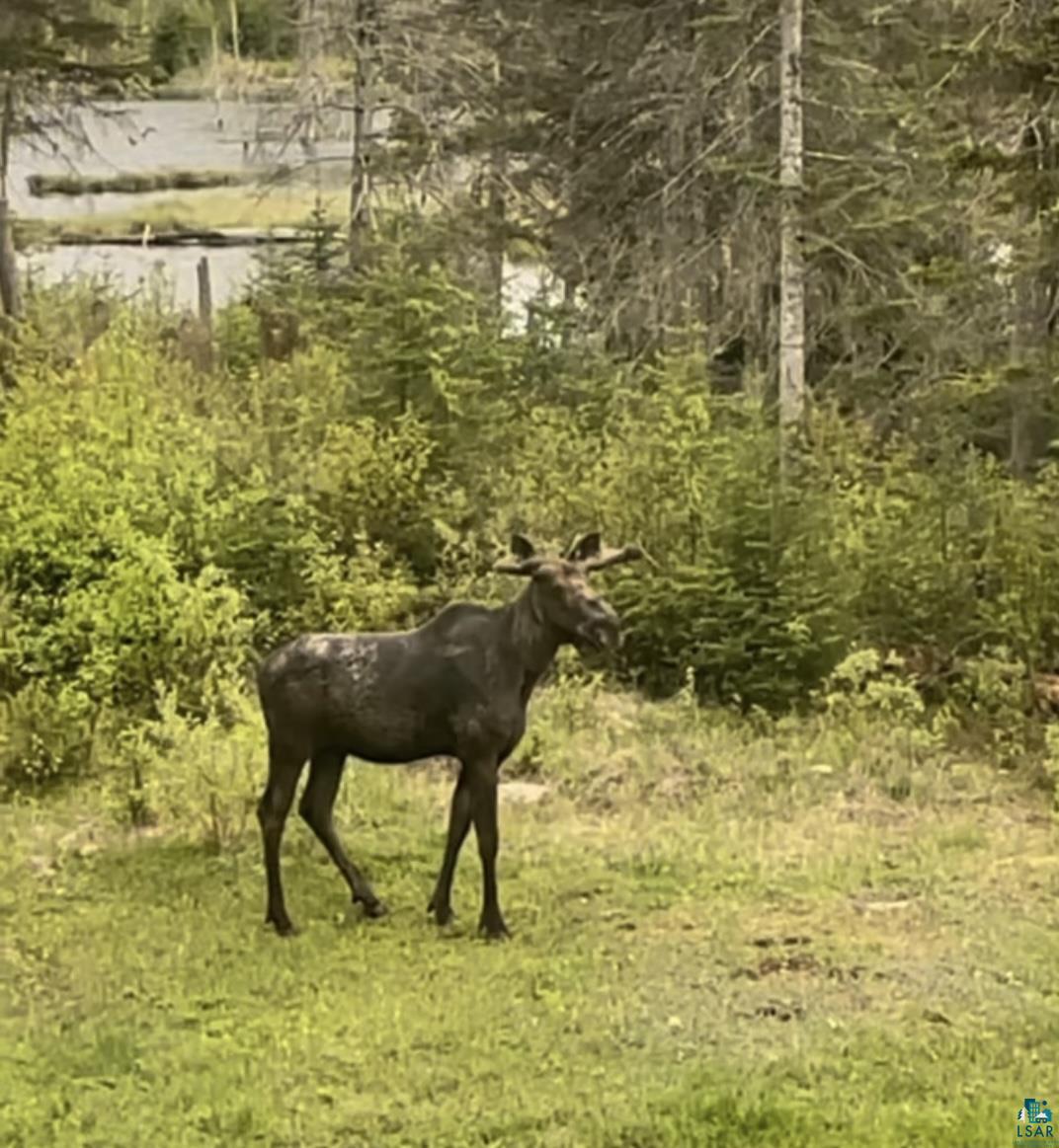 3158 God's Wilderness Road Silver Bay, MN 55614 - Photo 11 of 16