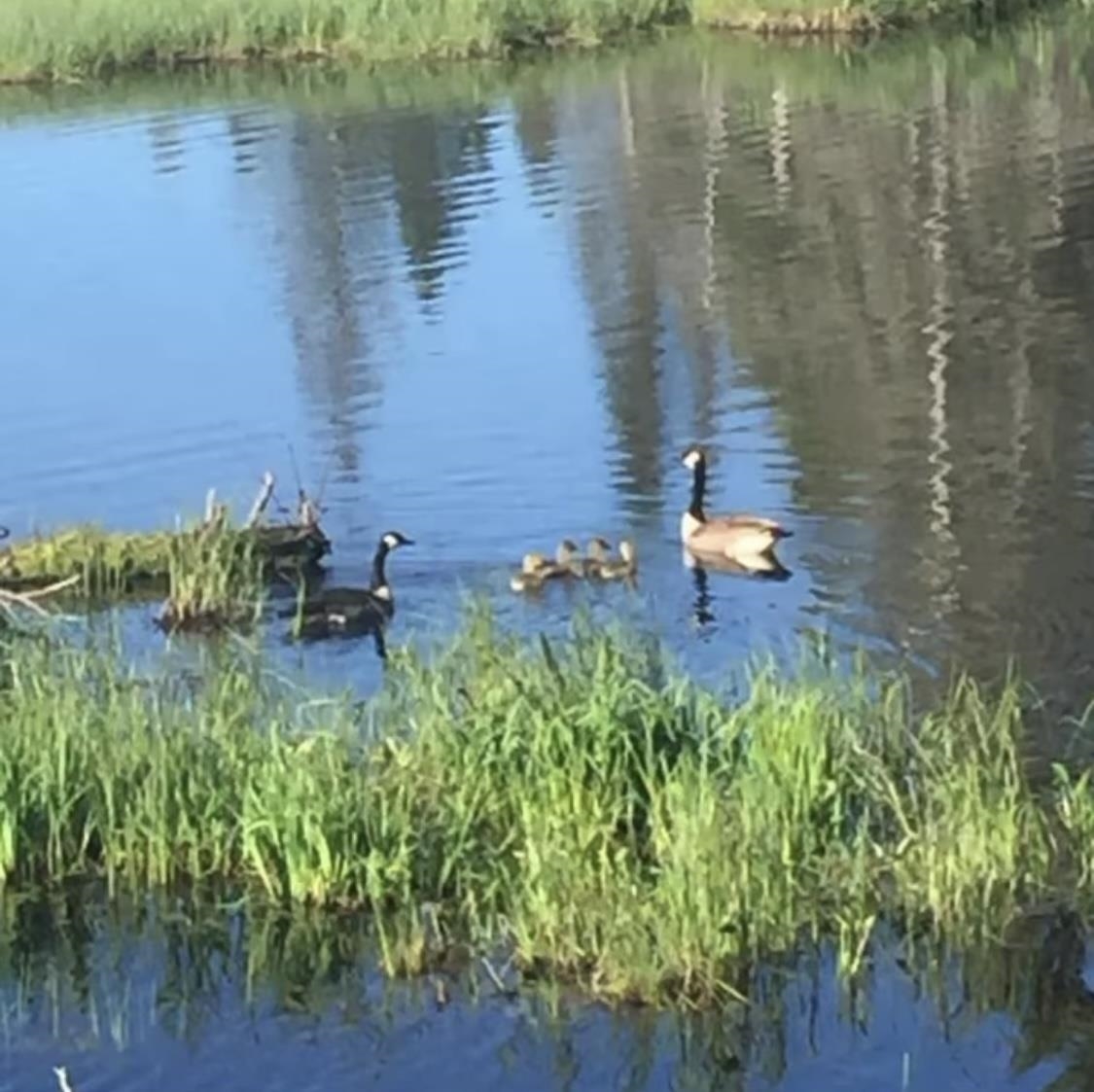 3158 God's Wilderness Road Silver Bay, MN 55614 - Photo 13 of 16