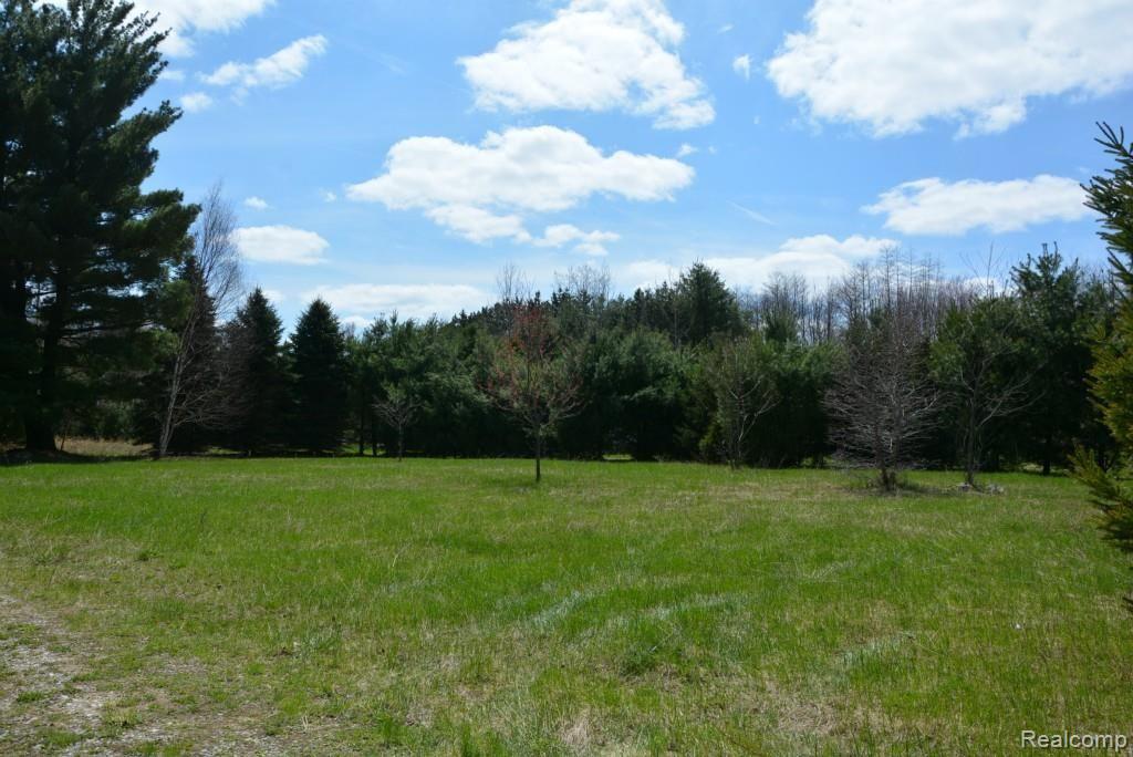 1680 Ambrose Road Mayville, MI 48744 - Photo 31 of 35 DSC_4220.jpg