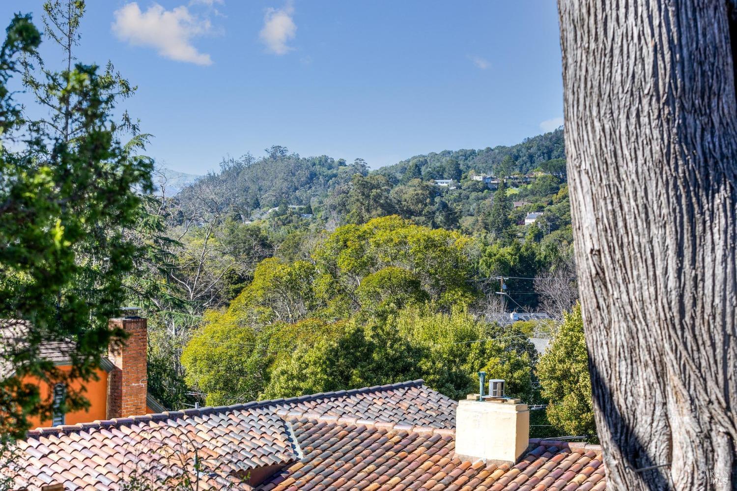 315 Jewell Street San Rafael, CA 94901 - Photo 32 of 40 Gallery Image 32