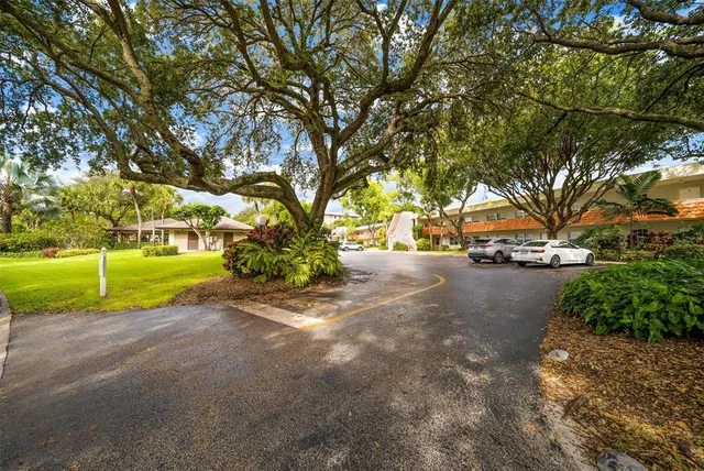a view of road with large trees