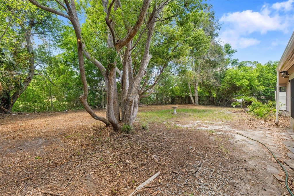 7447 Dundee Way Weeki Wachee, FL 34613 - Photo 30 of 35