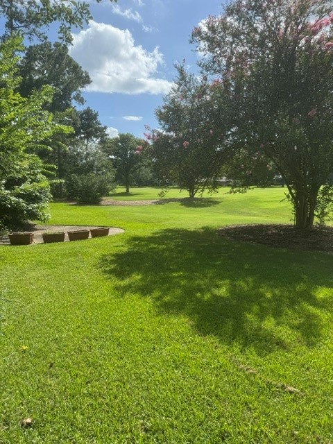 6026 Coral Ridge Road Houston, TX 77069 - Photo 34 of 34 Another picture on the golf course