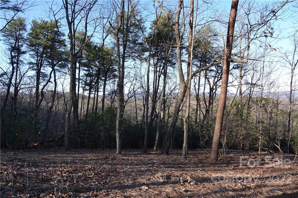 3 Fire Tower Road, Unit 3 Bostic, NC 28018 - Photo 1 of 38 Gallery Image 1