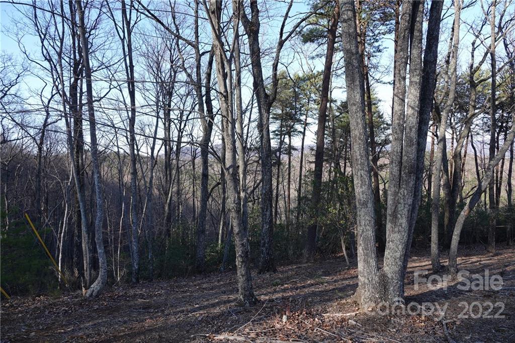 3 Fire Tower Road, Unit 3 Bostic, NC 28018 - Photo 13 of 38 Gallery Image 13