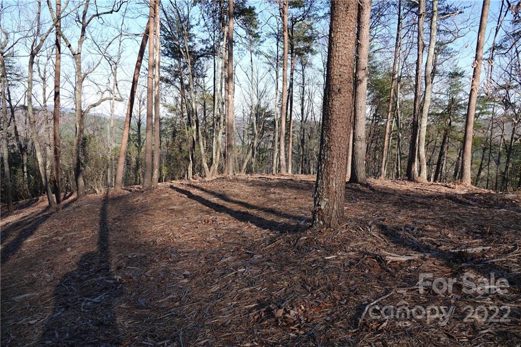 3 Fire Tower Road, Unit 3 Bostic, NC 28018 - Photo 17 of 38 Gallery Image 17