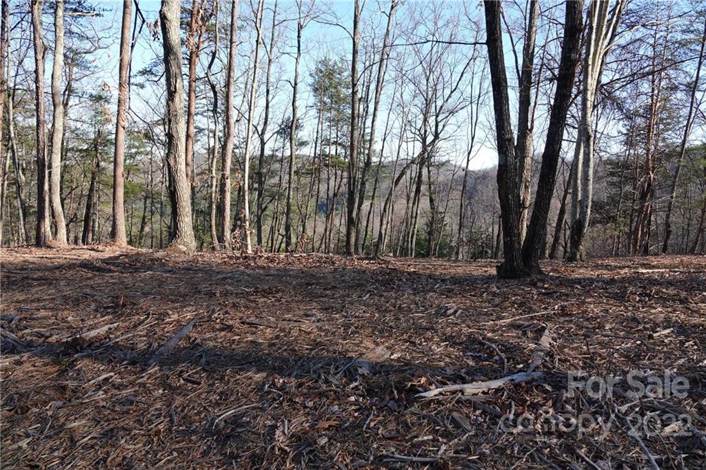 3 Fire Tower Road, Unit 3 Bostic, NC 28018 - Photo 19 of 38 Gallery Image 19