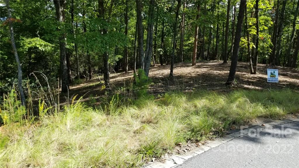 3 Fire Tower Road, Unit 3 Bostic, NC 28018 - Photo 2 of 38 Gallery Image 2