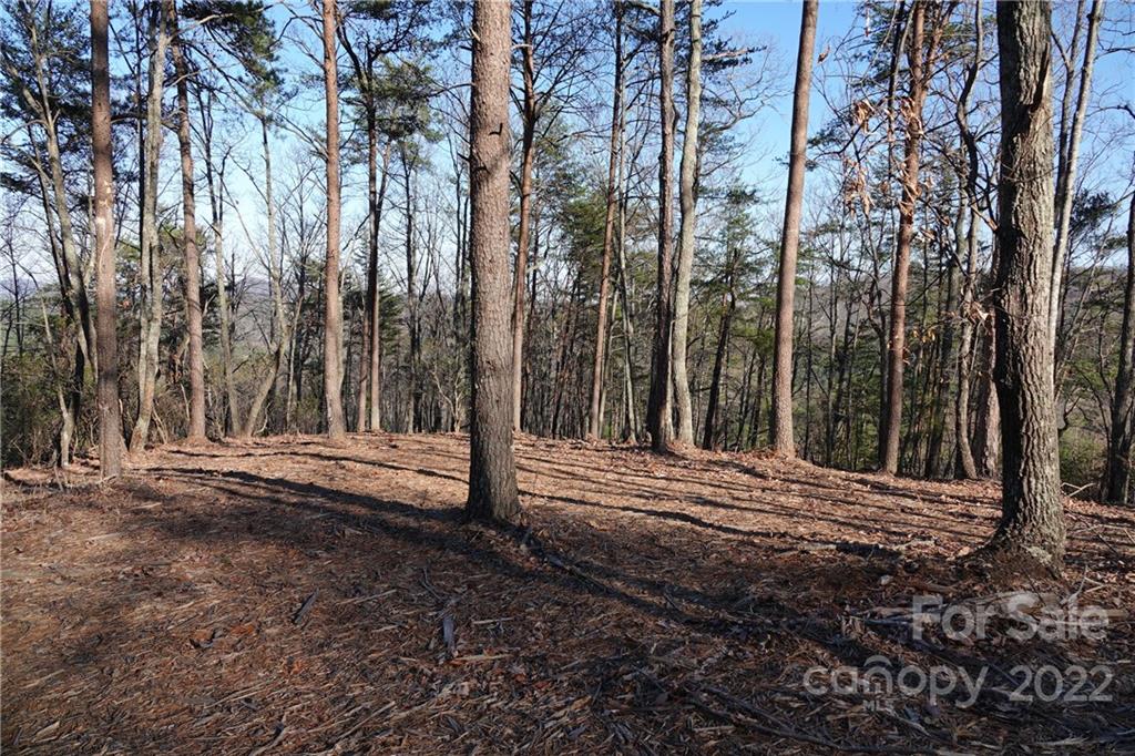 3 Fire Tower Road, Unit 3 Bostic, NC 28018 - Photo 23 of 38 Gallery Image 23
