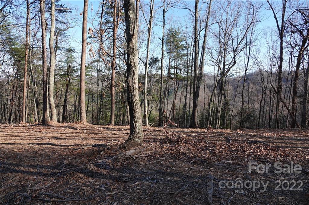 3 Fire Tower Road, Unit 3 Bostic, NC 28018 - Photo 24 of 38 Gallery Image 24