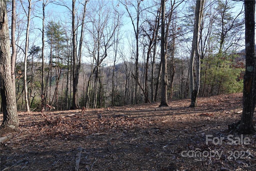 3 Fire Tower Road, Unit 3 Bostic, NC 28018 - Photo 25 of 38 Gallery Image 25
