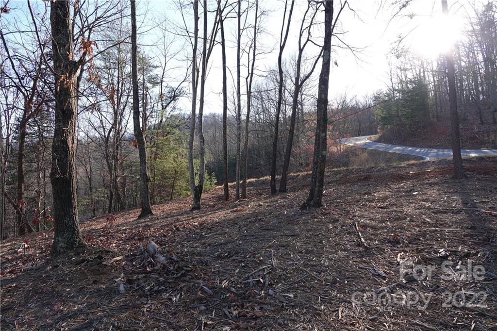 3 Fire Tower Road, Unit 3 Bostic, NC 28018 - Photo 29 of 38 Gallery Image 29