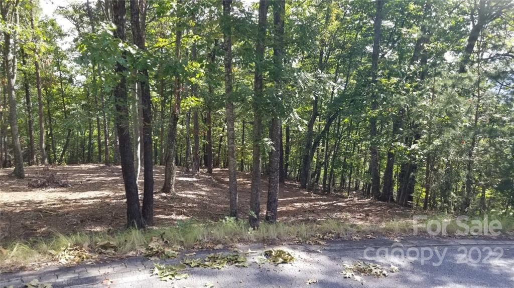 3 Fire Tower Road, Unit 3 Bostic, NC 28018 - Photo 3 of 38 Gallery Image 3