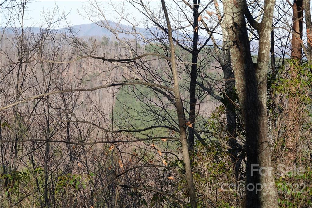 3 Fire Tower Road, Unit 3 Bostic, NC 28018 - Photo 31 of 38 Gallery Image 31