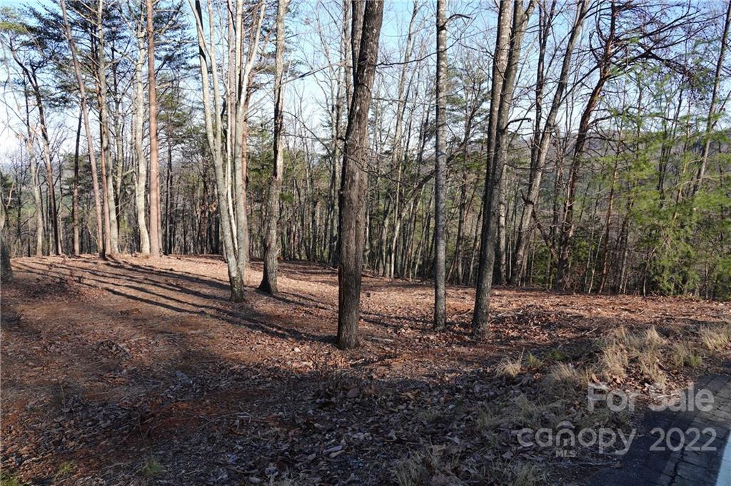 3 Fire Tower Road, Unit 3 Bostic, NC 28018 - Photo 34 of 38 Gallery Image 34