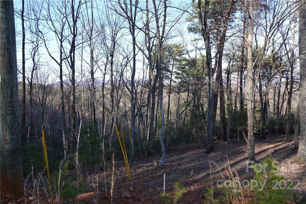 3 Fire Tower Road, Unit 3 Bostic, NC 28018 - Photo 5 of 38 Gallery Image 5