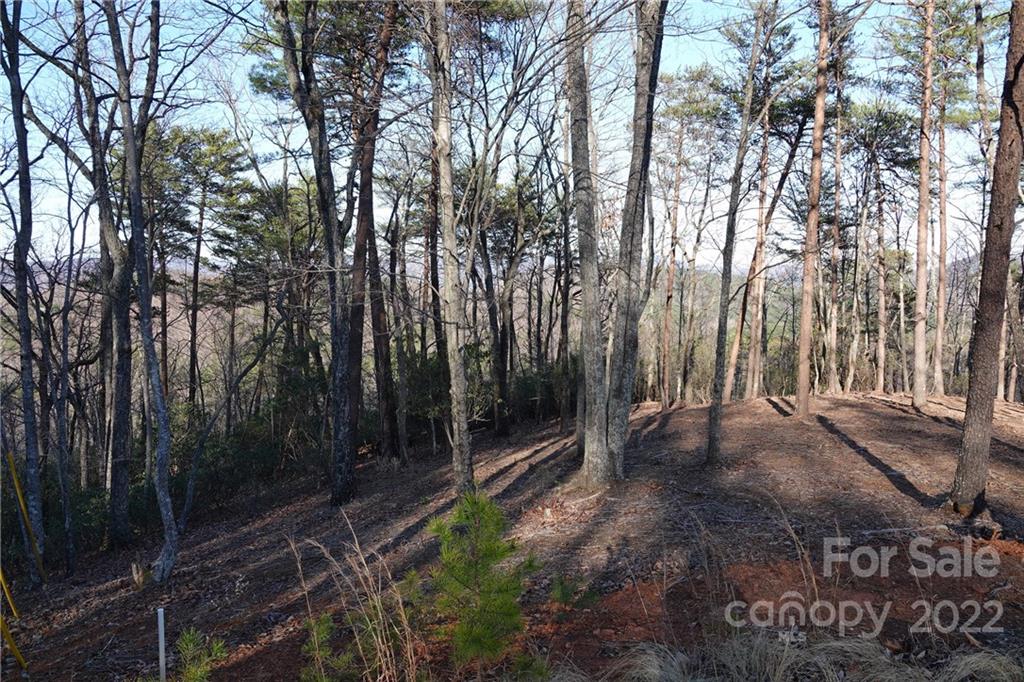 3 Fire Tower Road, Unit 3 Bostic, NC 28018 - Photo 6 of 38 Gallery Image 6