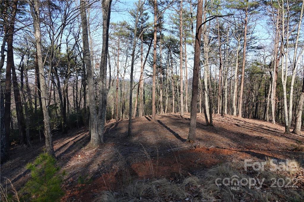 3 Fire Tower Road, Unit 3 Bostic, NC 28018 - Photo 7 of 38 Gallery Image 7