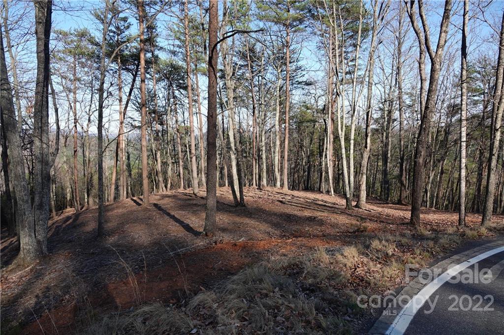 3 Fire Tower Road, Unit 3 Bostic, NC 28018 - Photo 8 of 38 Gallery Image 8