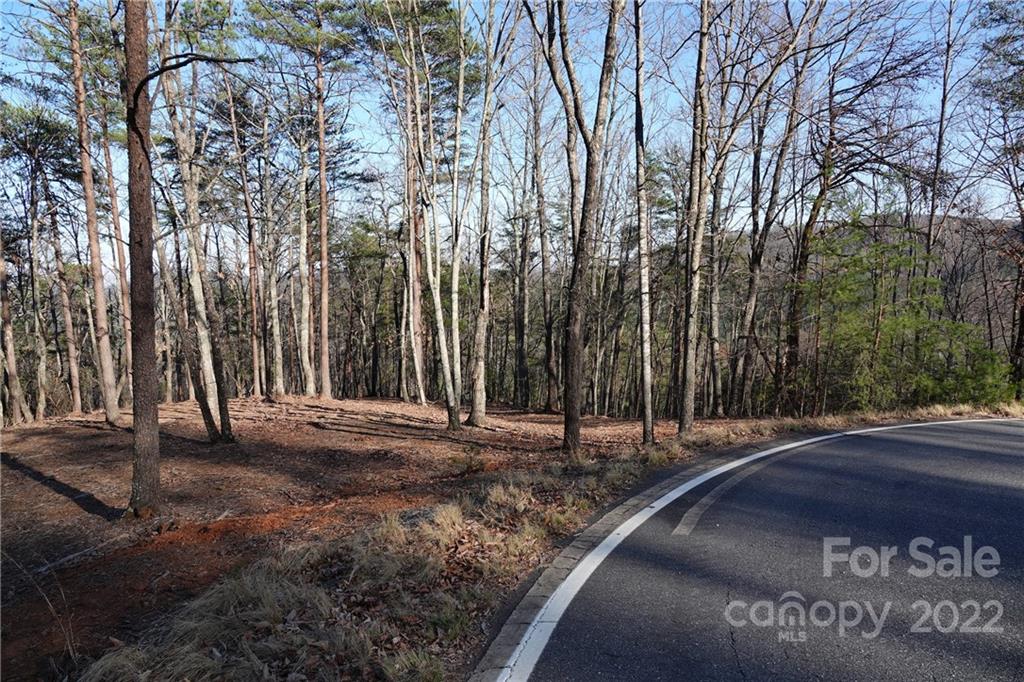 3 Fire Tower Road, Unit 3 Bostic, NC 28018 - Photo 9 of 38 Gallery Image 9