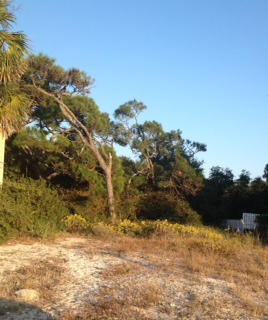 0 Magnolia Street Santa Rosa Beach, FL 32459 - Photo 2 of 2 a view of outdoor space and covered with fog