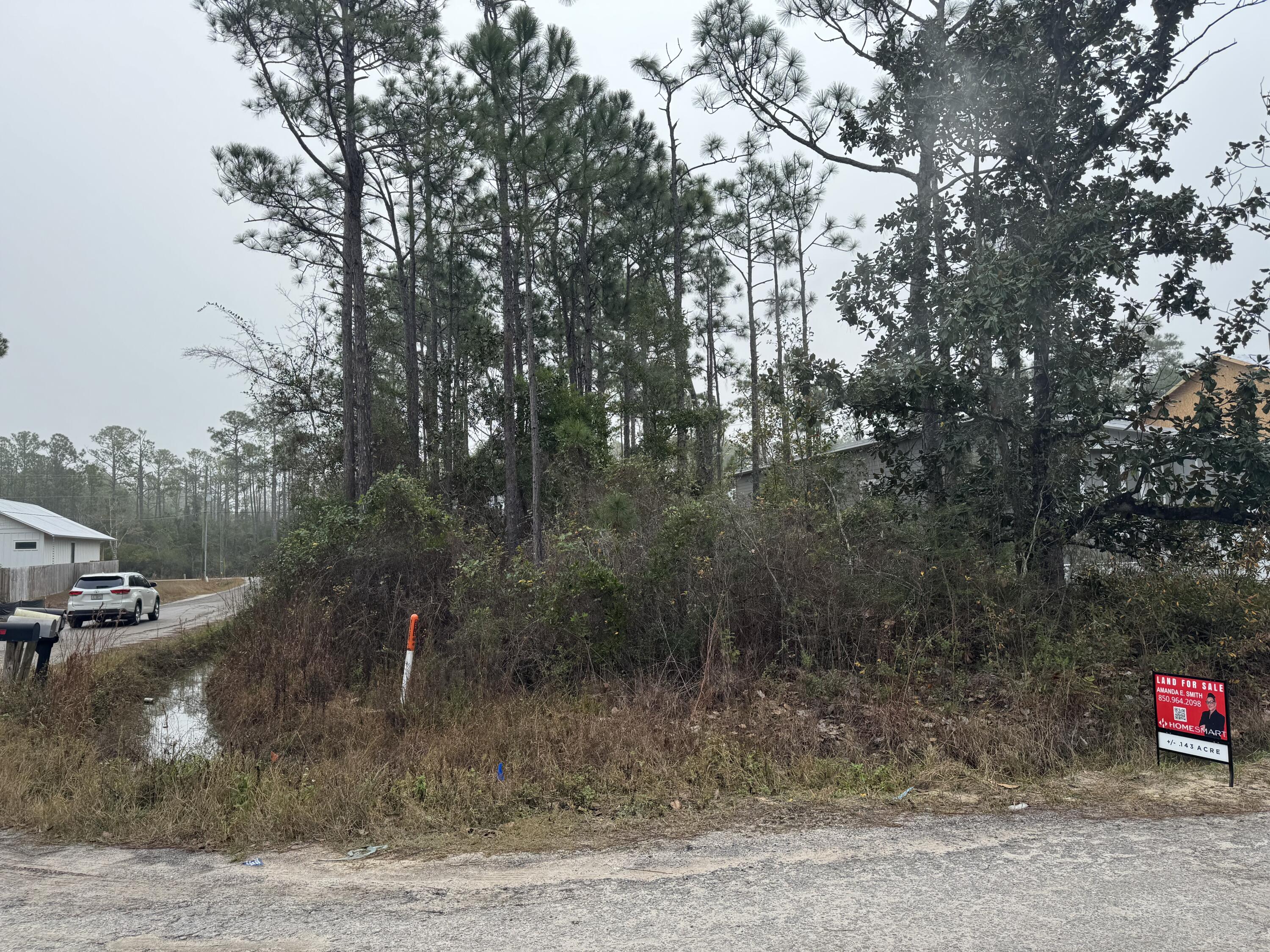 0 L Street Santa Rosa Beach, FL 32459 - Photo 3 of 6 a view of a road with trees