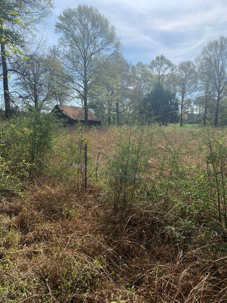 51 Cut-Off Road Silver Creek, MS 39663 - Photo 18 of 19 Photo 18