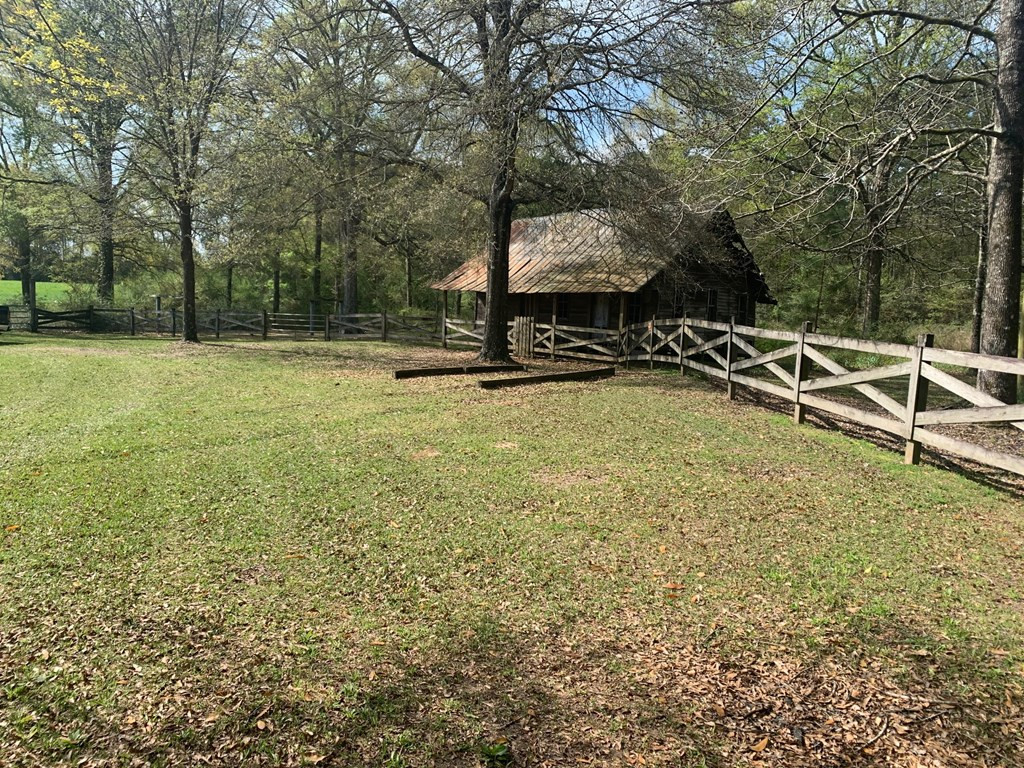 51 Cut-Off Road Silver Creek, MS 39663 - Photo 19 of 19 Photo 19