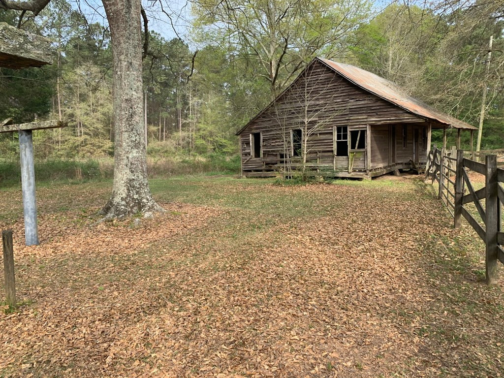 51 Cut-Off Road Silver Creek, MS 39663 - Photo 4 of 19 Photo 4