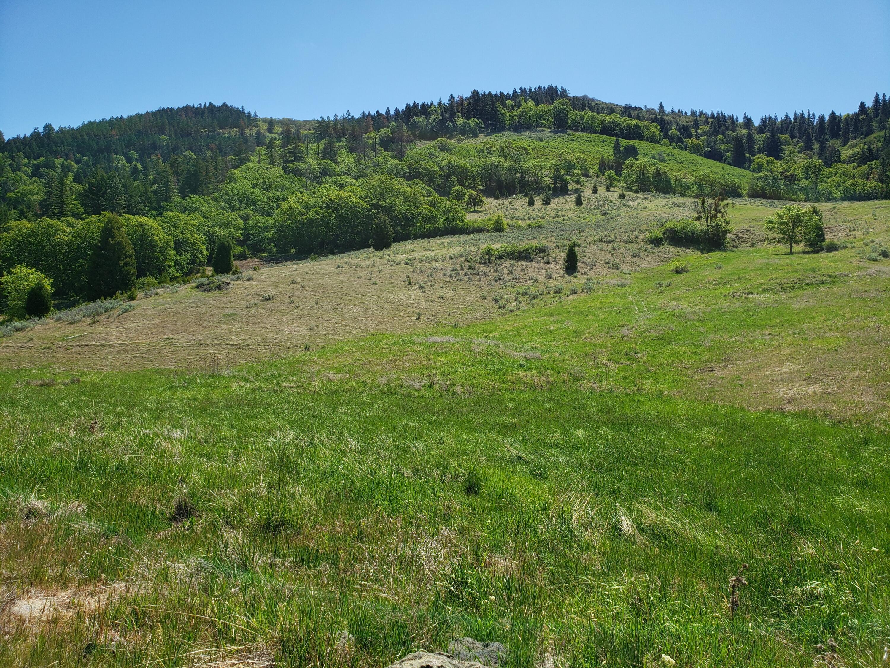 0 Cove Road, Unit PARCEL 5 Ashland, OR 97520 - Photo 2 of 4 2