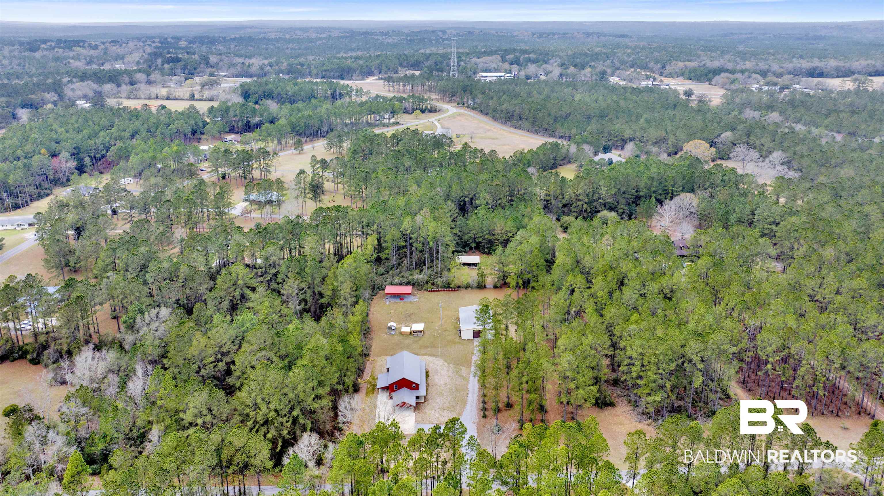 36397 Alexandria Trail Stapleton, AL 36578 - Photo 5 of 65 Bird's eye view of a forest
