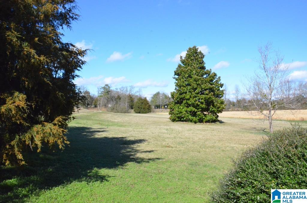 6477 Berney Station Road Talladega, AL 35160 - Photo 24 of 50