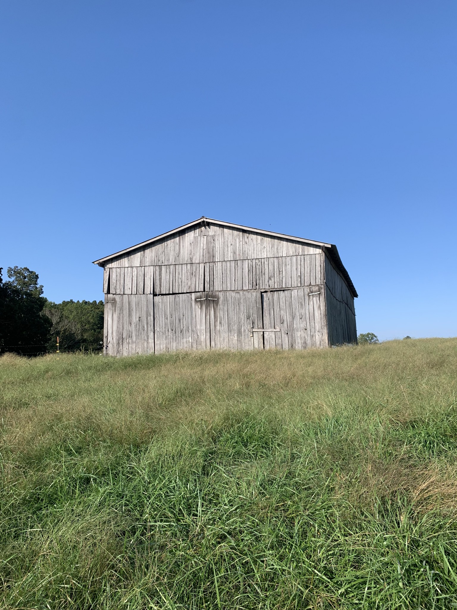 1746 Old Gallatin Road Portland, TN 37148 - Photo 8 of 11 a view of a back yard