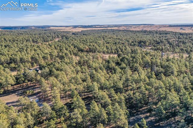 17501 Abert Ridge View Colorado Springs, CO 80908 - Photo 33 of 45 Gallery Image 33