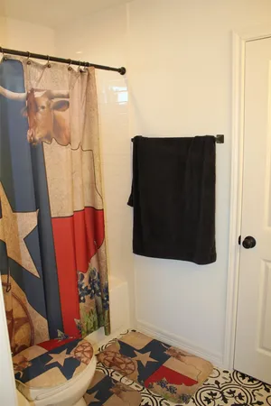 a bathroom with a shower curtain and a toilet
