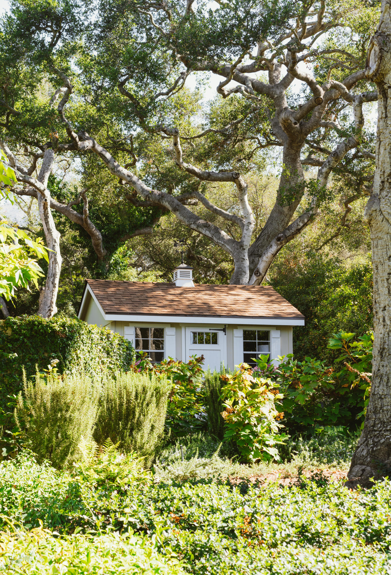 610 Olive Road Montecito, CA 93108 - Photo 27 of 38 DSC00055