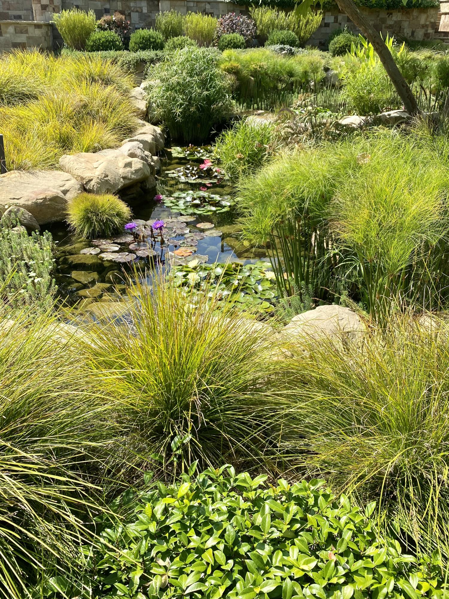 610 Olive Road Montecito, CA 93108 - Photo 37 of 38 Pond