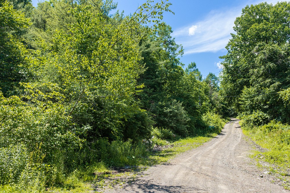 141 Hulbert Hill Road Bainbridge, NY 13733 - Photo 41 of 45
