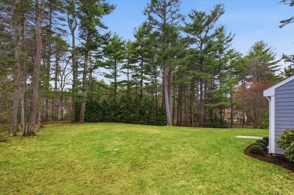 65 Walpole Street Dover, MA 02030 - Photo 32 of 41