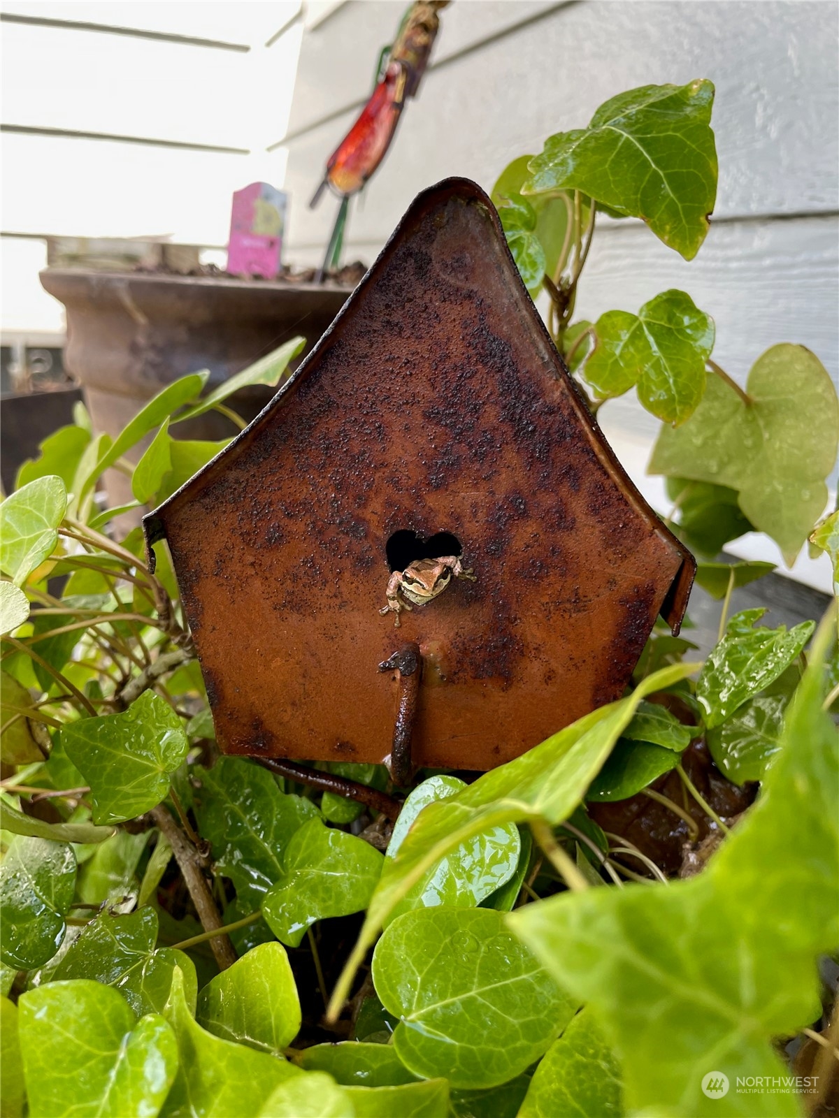 17811 87th Avenue East Puyallup, WA 98375 - Photo 37 of 37 a backyard of a house