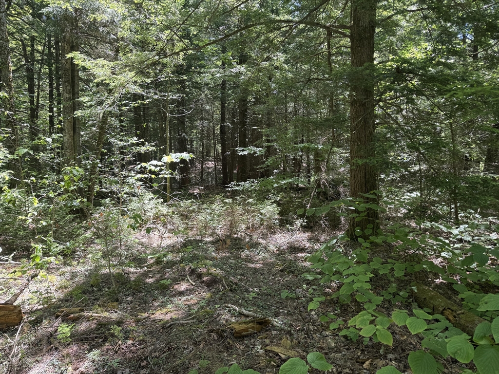 0 Old Stage Road Ashfield, MA 01330 - Photo 2 of 7