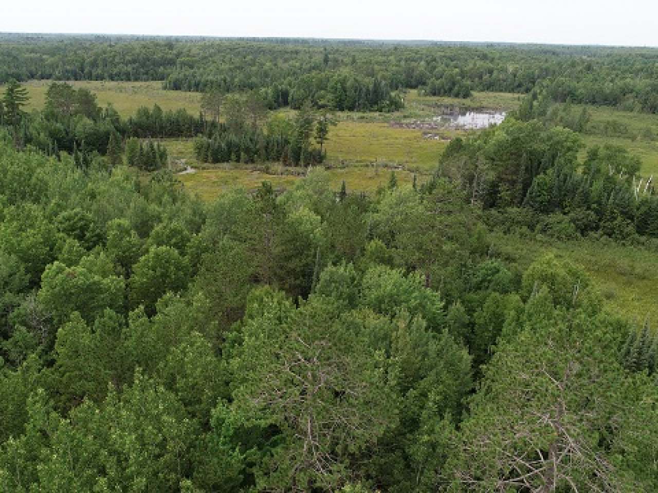 Lot 36 Nathan Pass Mercer, WI 54547 - Photo 30 of 71 Gallery Image 30